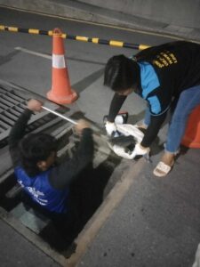 494687013 2113488845819681 1878228494311961244 n.jpg